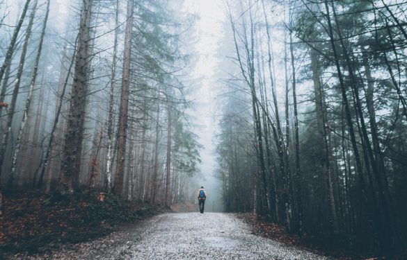 samotny mężczyzna z plecakiem idzie leśną ścieżką