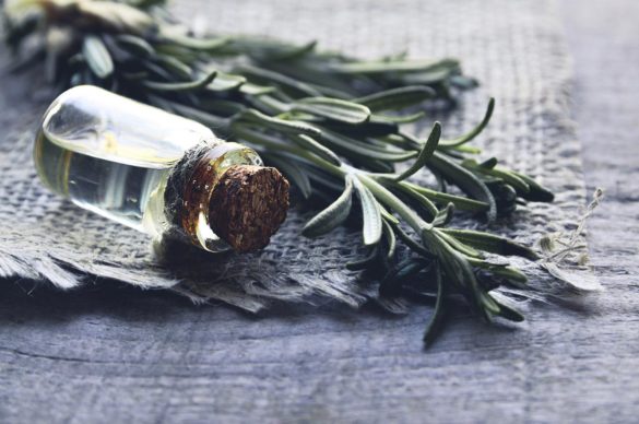 fiolka z olejkiem eterycznym zatkana korkiem leżąca obok gałązki rozmarynu
