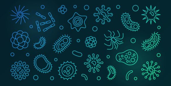 ilustracja przedstawiająca ikony różnych bakterii i mikrobów