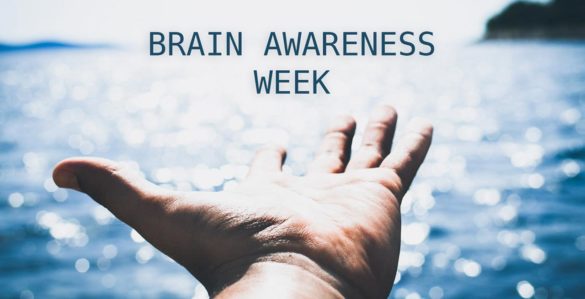 Światowy Tydzień Mózgu 2019 - Brain Awareness Week 2019 - Dni mózgu