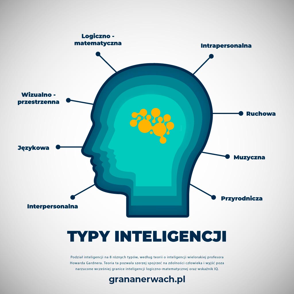 Infografika - typy inteligencji wg H. Gardnera