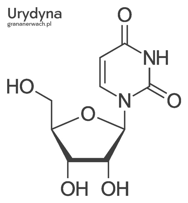 Urydyna - struktura chemiczna. Działanie i właściwości urydyny