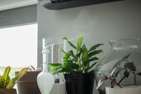 dyfuzor nebulizujący organic aromas - sprzęt do aromaterapii