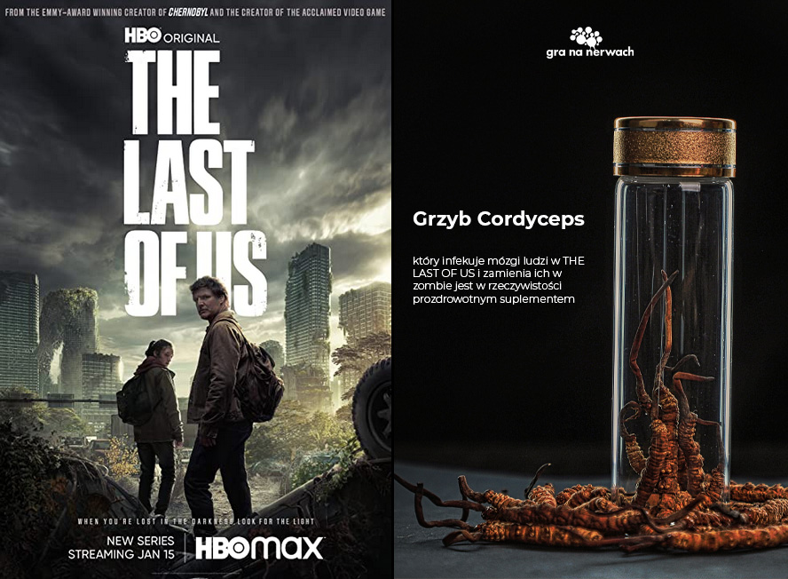 grzyb cordyceps z gry i serialu The Last Of Us